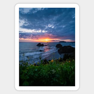 Trinidad Seascape Sticker